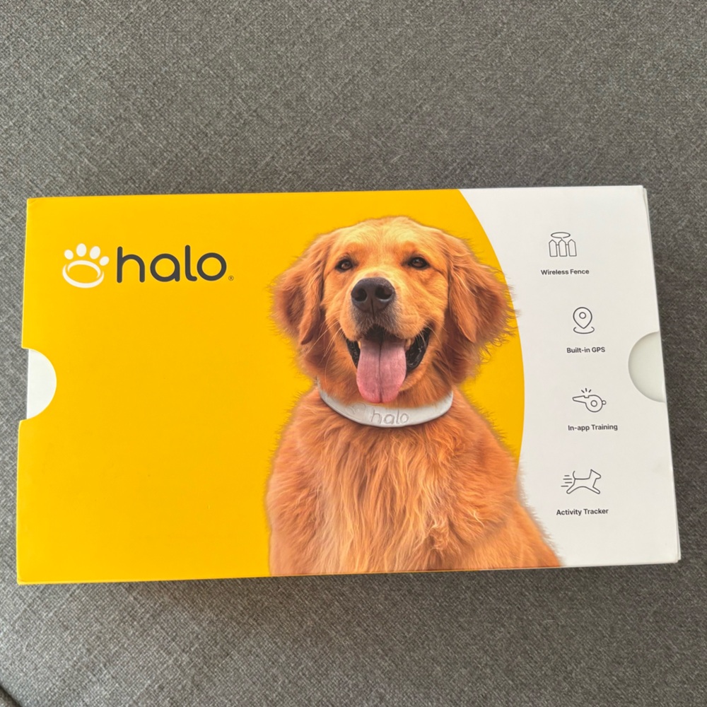 Halo Vibrant Yellow Dog Collar